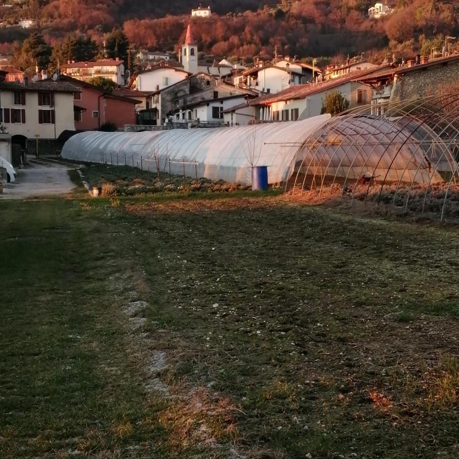 Agriturismo Corte Fontana App. Barbara Salò Dış mekan fotoğraf